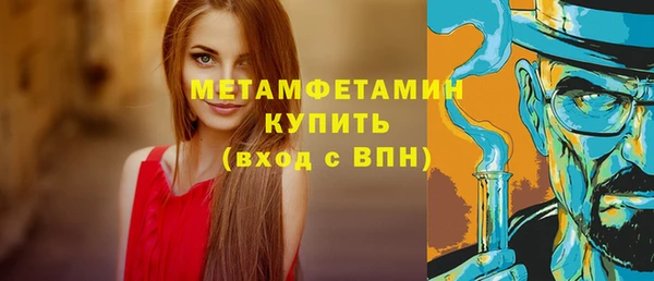 сатива Новосибирск