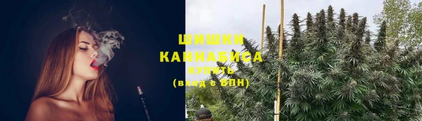 не бодяженный Санкт-Петербург