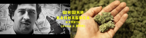 сатива Новосибирск