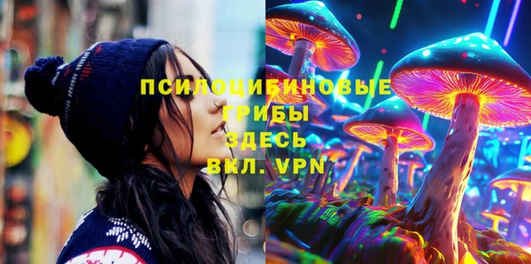 сатива Новосибирск
