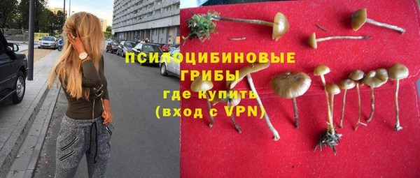 сатива Новосибирск