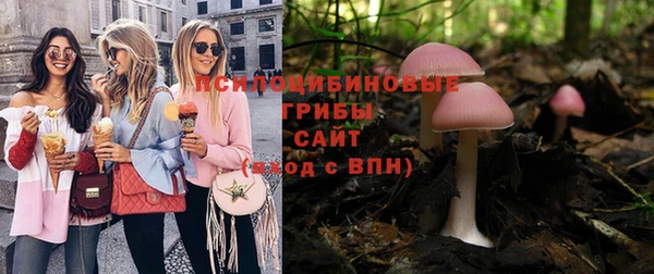 сатива Новосибирск