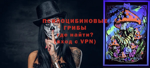 не бодяженный Санкт-Петербург