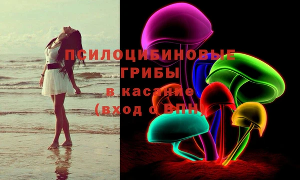 сатива Новосибирск