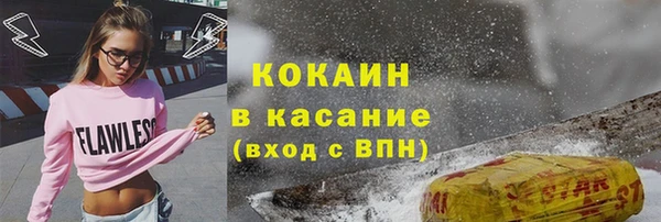 сатива Новосибирск