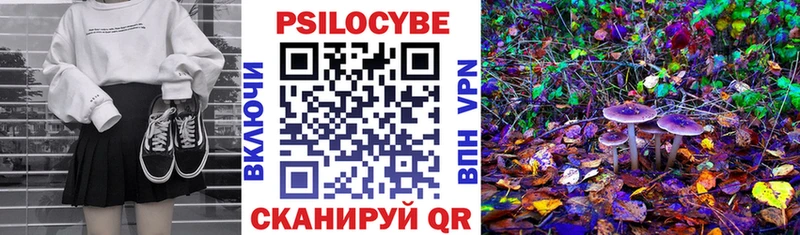 закладки  Челябинск  Галлюциногенные грибы Psilocybine cubensis 